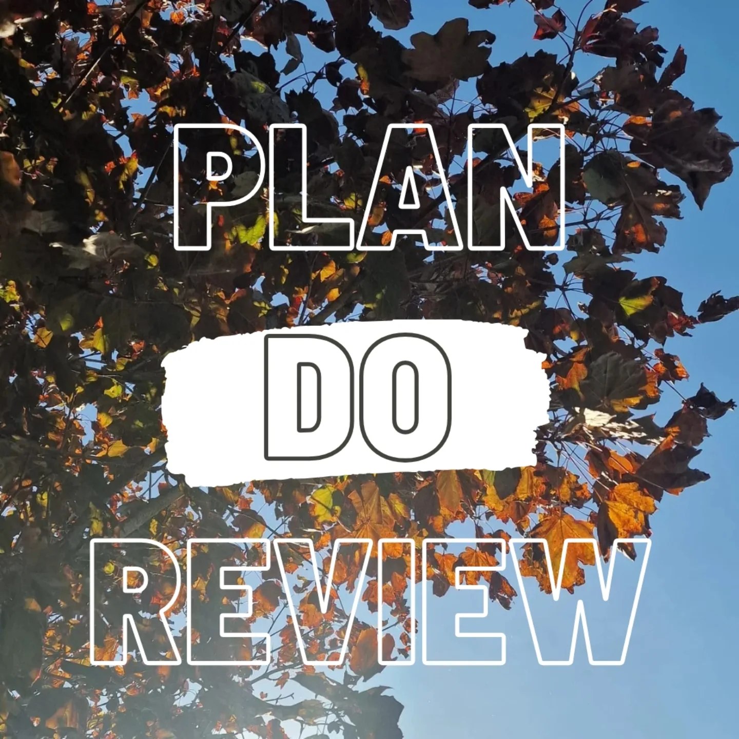 Plan do review